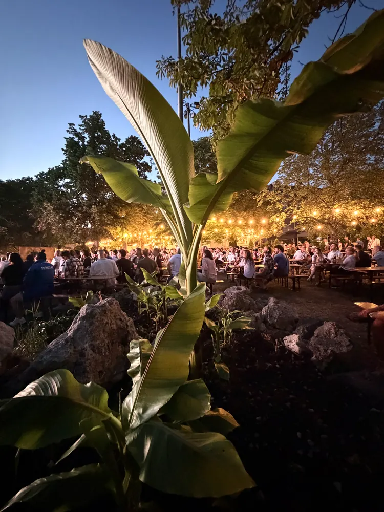 Eventbereich im Biergarten am Abend mit Gästen